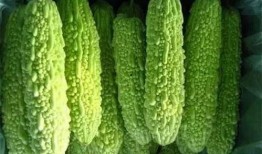 南宁微信吃瓜群免费吗,免费畅享热门资讯，轻松加入共享快乐