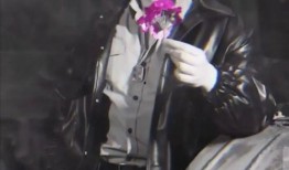 网红爆料乐仔视频,网红爆料引发网友热议